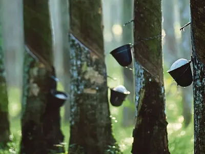 Böck Shopify ecommerce development by 3oneseven ecommerce shop shopify store webdesign