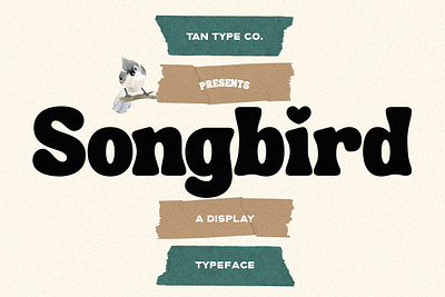 TAN - SONGBIRD bold font display font display type funky font groovy font groovy retro font mid century mid century modern mid century modern font modern font retro font retro type tan songbird vintage font vintage type