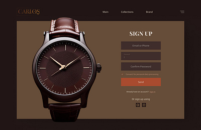 Registration form aesthetics branding design ui ux watches webdesign