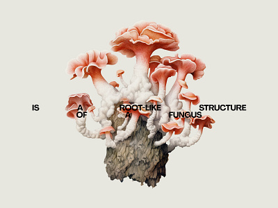Retro Digital Art Collection acid botanic botanical fungi graphic design mushroom retro elements vintage y2k