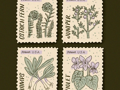 Northeast Foraging Stamps botanical design graphic design illustration lettering packaging print design