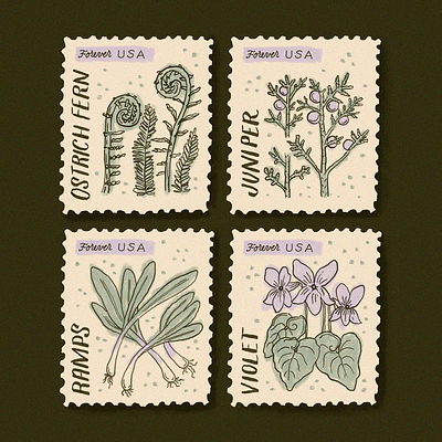 Northeast Foraging Stamps botanical design graphic design illustration lettering packaging print design