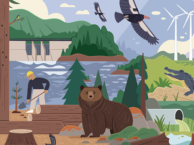 50 Years of the Endangered Species Act alligator animals bear childrens book childrens books condor editorial illustration endangered species forest forest illustration grizzly illustration kidlitart nature wildlife