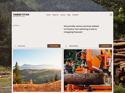 Timber Titan website figma ui uiux ux web design website