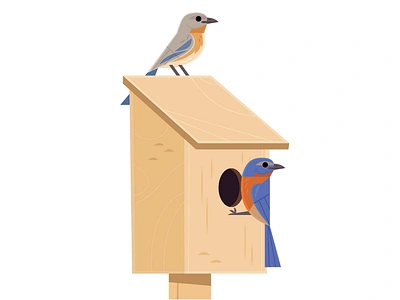 Nest box animals birdhouse birding birds bluebird childrens book childrens books design illustration kidlitart nature sport illustration vector wildlife