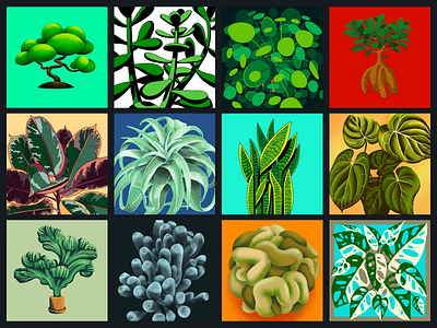 Daily Houseplants cactii daily drawing houseplants illustration leaves plants practice procreate
