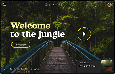 Jungle Adventure design graphic design nature ui uiux webpage