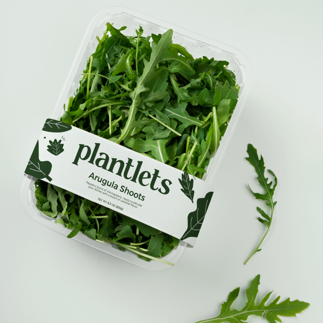 Plantlets | Microgreen Brand | Branding brand design brand identity branding branding inspiration design graphic design green green salad greenery identity inspiration logo logotype microgreen packaging product design salad visual visual identity