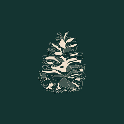 Pinecone graphic design illustration