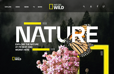 Nat Geo Wild graphic design landing page nat geo wild ui uiux