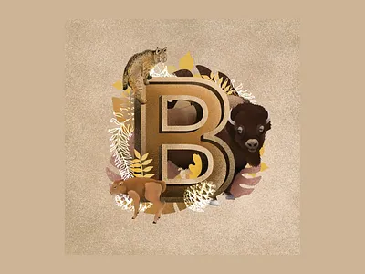Bobcat & Bisons B animal illustration bison bison illustration bobcat book illustration book illustrator brand brand identity branding branding design childrens book illustration design graphic design illustration illustration design letter design letter illustration nature illustration ui wildlife illustration
