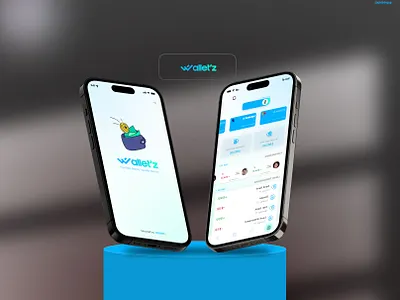 Wallet'z App Design app appdesign branding mobileapp ui uiux ux
