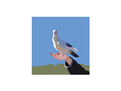 Bird/Pigeon graphic design illustration vector