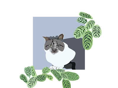 Cat graphic design illustration vector