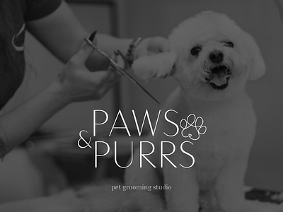 Logotype for pet grooming studio branding creativity graphic designer identity logo logodesign logotype pet grooming pet grooming design визуализаця груминг студия дизайн для груминг студии лого лого дизайн логотип