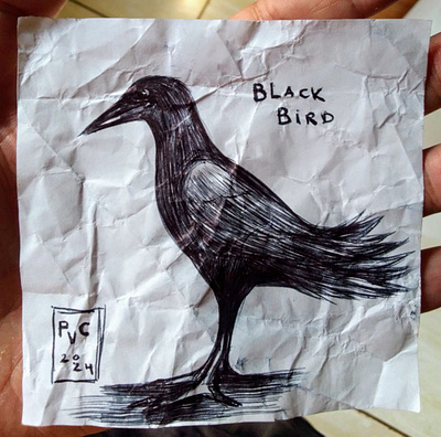 Black Bird by PaulCamell713 art artwork belas artes concept paucamell713