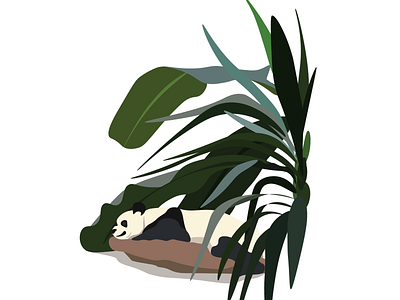 Panda graphic design illustration vector