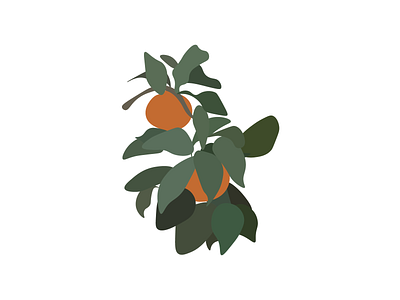 Plant/Fruit graphic design illustration vector