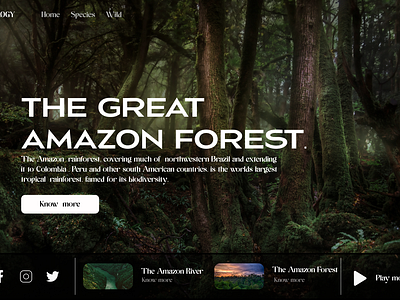 The Great Amazon Forest amazon forest graphic design landing page ui uiux