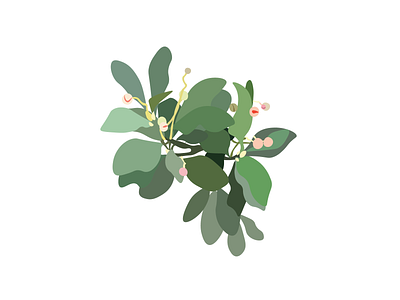 Plant/Leaves graphic design illustration vector