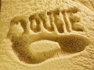 Foam Typo 3d animation foam simulation graphic design motion graphics simulation typography