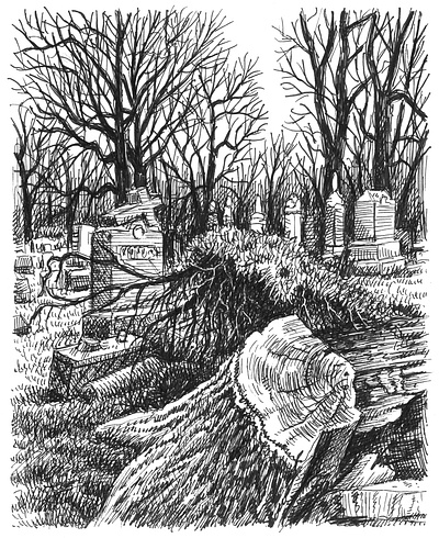 Uprooted art artist artwork drawing hand drawn illustration ink trees