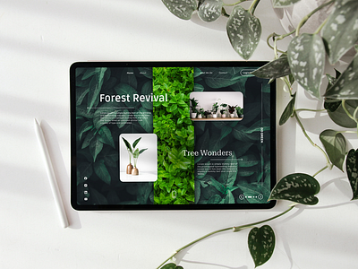 Nature and Digital Aesthetics (Web UI Design) aesthetics design designlanding page ui ui design uiux design user experience user interface user interface design ux design