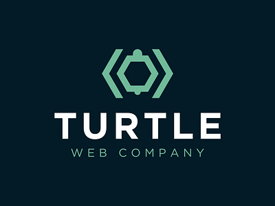 Turtle branding graphic design illustration logo turtle vector web