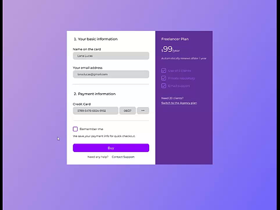 Payment form input field payment