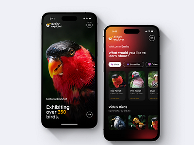 Bird App branding ui