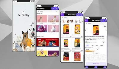 PetPantry design thinking figma ui ux