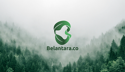Belantara.Co / Logo Design 2020 animation branding branding identity community graphic design green leaf logo motion graphics nature travel typography visual identity