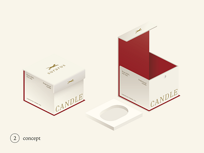Package design Box box branding candle box gift box graphic design identity leopard package package design
