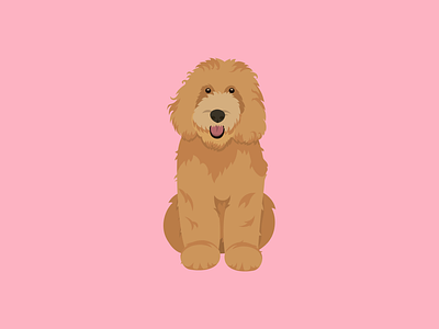 Floofy / illustration animals character dog dog apparel dog illustration illustration petshop poodle poodle illustration shop toys