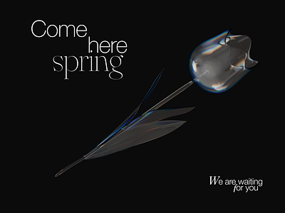 Spring / Poster Q1 2024 3d animation art concept glass graphic design motion poster refraction