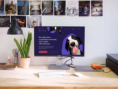 Design concept Pet clinic [1] design homepage landing ui ux web design