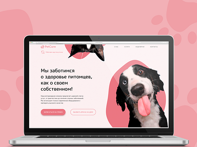 Design concept Pet clinic [3] design homepage landing ui ux web design