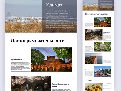 Design concept Longread about Kaliningrad [4] design homepage landing ui ux web design