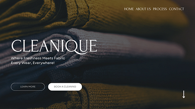 CLEANIQUE - WEB DESIGN branding cleaning company graphic design ui web webdesign