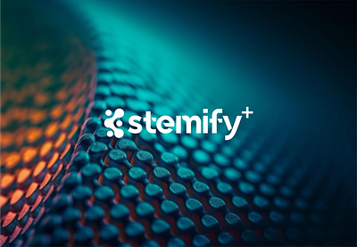 Brand Identity Design for STEMIFY+ branding graphic design logo