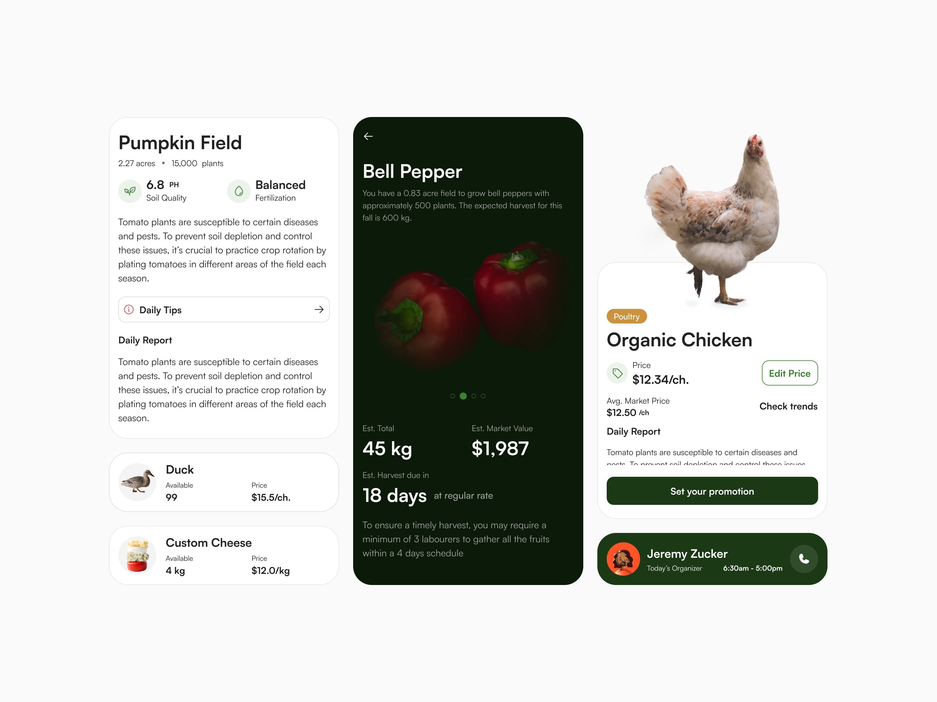 Example of Custom Mobile App UI Design (10 Screens)