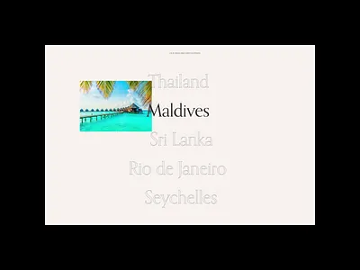 Travel destinations | web animation animation branding graphic design motion graphics ui