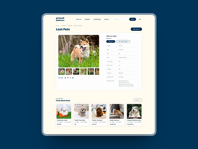 Lost Pet Page ad animals lost lost pet page pets ui ux