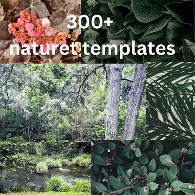 300+ Canva templates canva cover page environment graphic design landscape motion graphics nature nature templates wilderness
