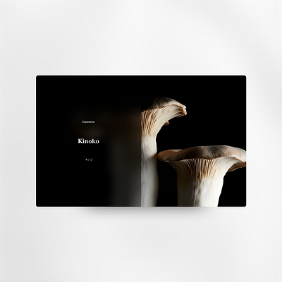 Kinoko - Concept branding design food interface minimal nature ui web design