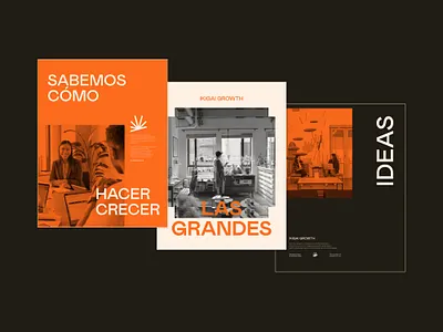 Ikigai Growth Branding billboard branding design graphic design growth marketing posters web