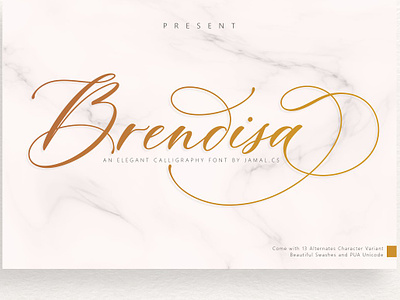 Brendisa Script Font alternates beautiful font blog title branding font brendisa script font calligraphy font font 2022 font with swashes hand drawn fonts invite logo typeface long swashes lovely modern modern handwriting script script swirls typeface wedding font