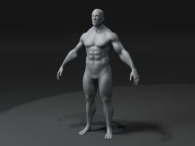 Strong Male Body Base Mesh 3d Model 10k Polygons 3d 3d model base mesh base mesh 3d model body fit fit male body base mesh 3d model human base mesh 3d model human body base male male body man strong strong male strong male base mesh 3d model strong male body 3d model superhero