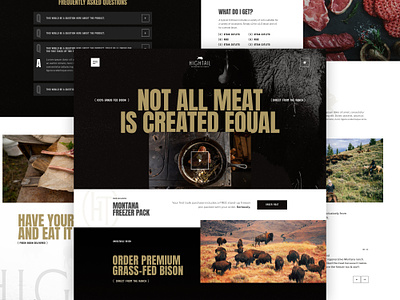 Hightail Ranch Ecom bison branding ecom ecommerce farm grid grid layout interface meat mockup montana ranch shipping shopping travel ui ux web design