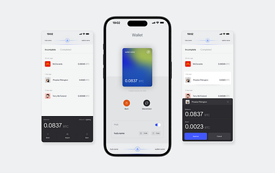 Crypto Burner Wallet app crypto design product design ui ux wallet web3